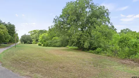308 E Daingerfield St, Omaha, TX 75571 photo 33