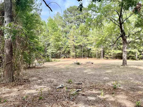 2496 Silk Tree Rd, Gladewater, TX 75647