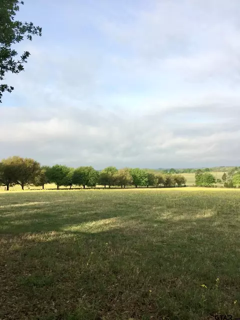 11754 Cr 3819, Athens, TX 75752