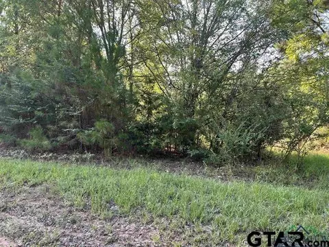 tbd Cr 4110 D, Henderson, TX 75654