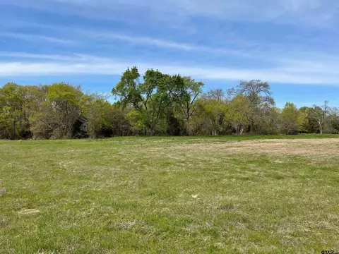 23 E Belles Ln, Brownsboro, TX 75756