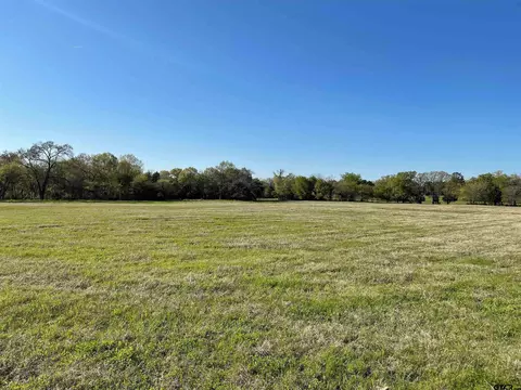 22 E Belles Ln, Brownsboro, TX 75756