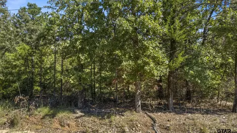 tbd Cr 4120, Pittsburg, TX 75686