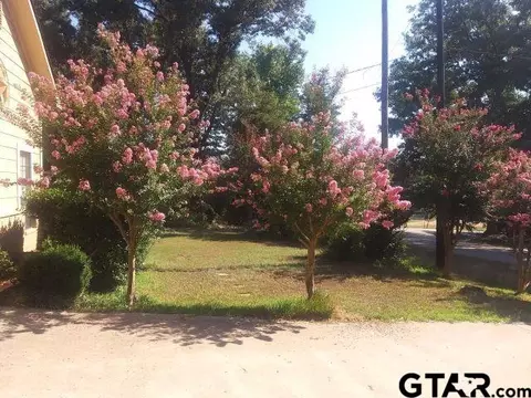 8806 W Lakeshore, Tyler, TX 75709 photo 18