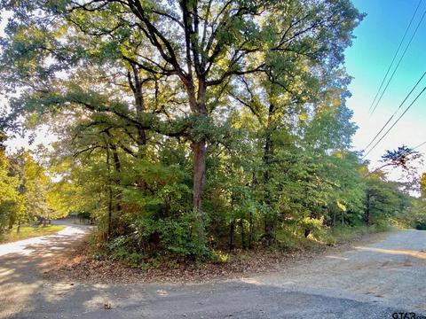 tbd Loving Ln, Gun Barrel City, TX 75156