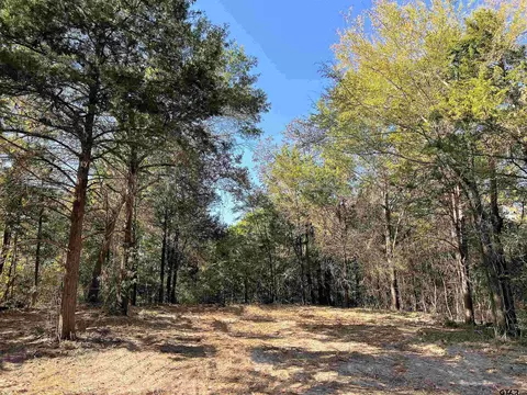 End Lone Oak Dr, Palestine, TX 75803