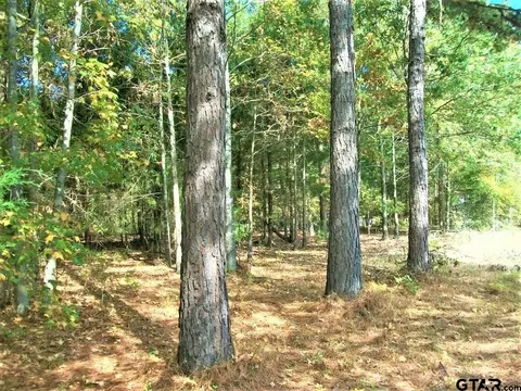 2477 Cr 4122, Simms, TX 75574 photo 8
