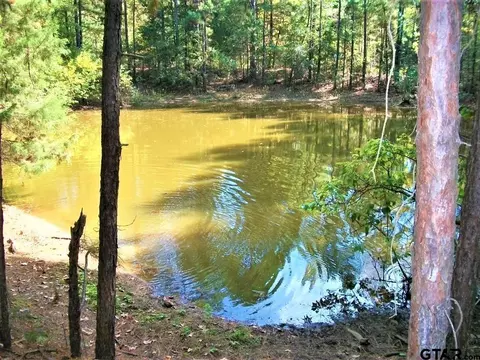 2477 Cr 4122, Simms, TX 75574 photo 5