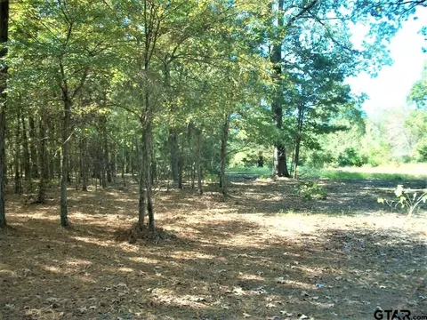 2477 Cr 4122, Simms, TX 75574 photo 22
