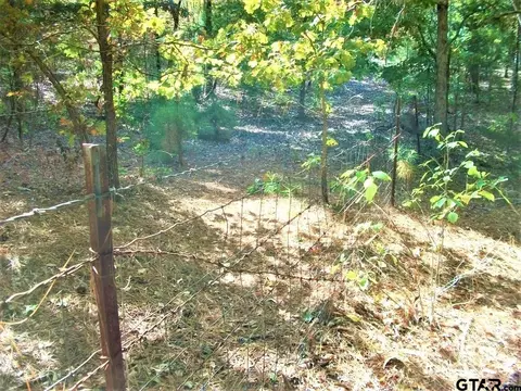 2477 Cr 4122, Simms, TX 75574 photo 21