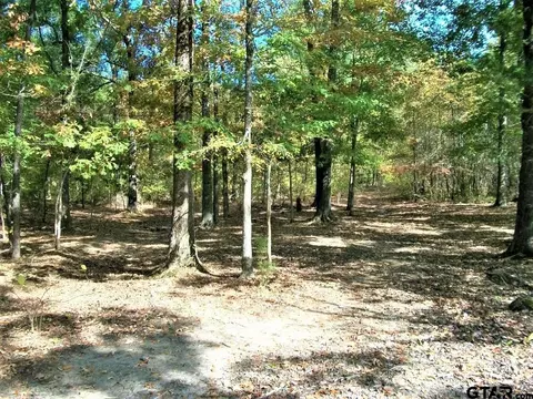 2477 Cr 4122, Simms, TX 75574 photo 18