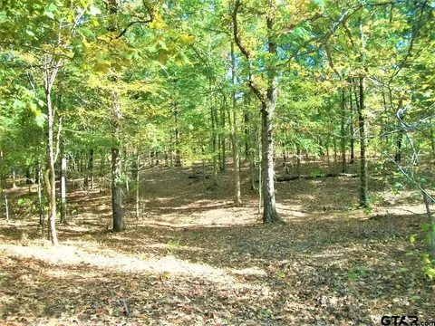 2477 Cr 4122, Simms, TX 75574 photo 15