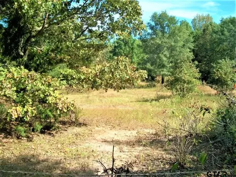 2477 Cr 4122, Simms, TX 75574 photo 12