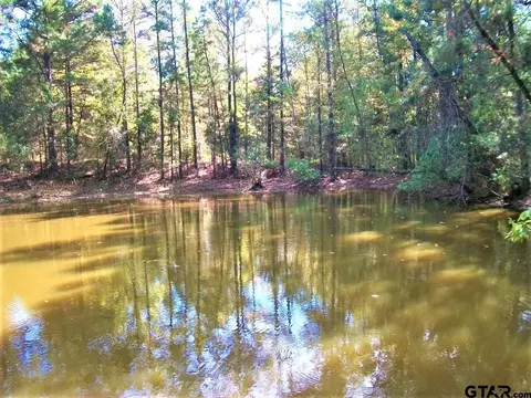 2477 Cr 4122, Simms, TX 75574 photo 7