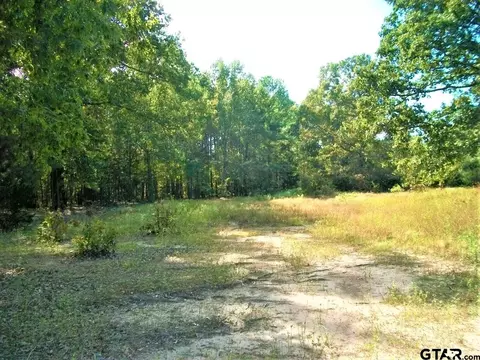 2477 Cr 4122, Simms, TX 75574 photo 14