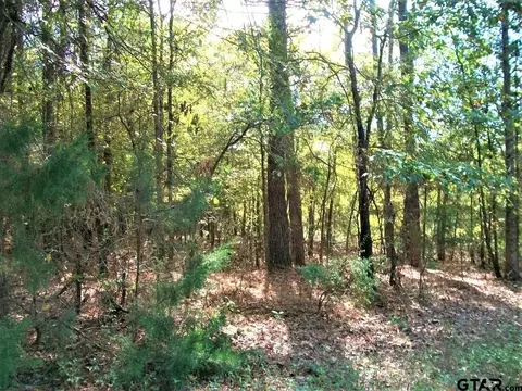 2477 Cr 4122, Simms, TX 75574 photo 3