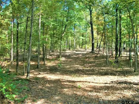 2477 Cr 4122, Simms, TX 75574 photo 16