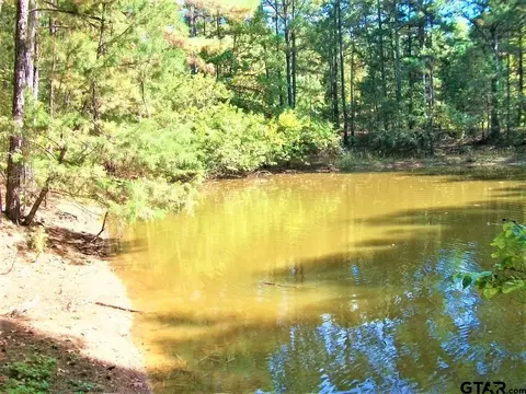 2477 Cr 4122, Simms, TX 75574 photo 6