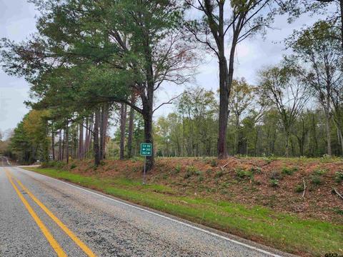 lot1 NE Tbd Ne Cr 363, Winona, TX 75792