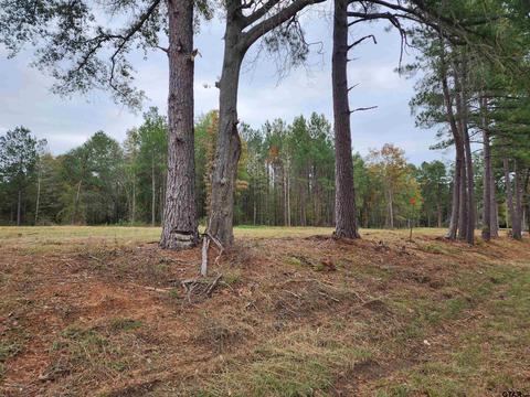 lot3 NE Tbd Ne Cr 363, Winona, TX 75792