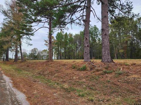 lot6 NE Tbd Ne Cr 363, Winona, TX 75792