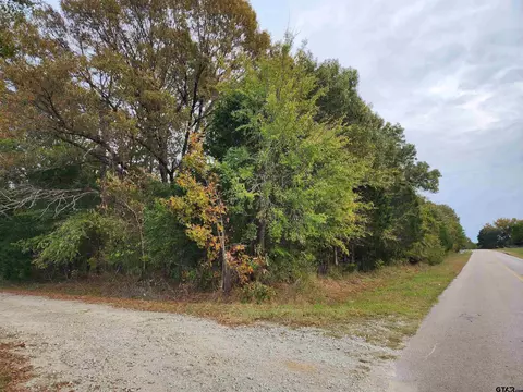 13676 S Cr 420, Tyler, TX 75704
