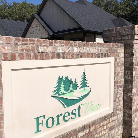 Lot 49 Private Road 6238, Mineola, TX 75773