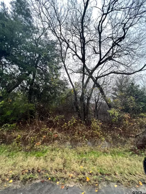 tbd County Road 1108, Celeste, TX 75423 photo 7