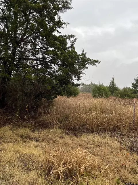tbd County Road 1108, Celeste, TX 75423 photo 4