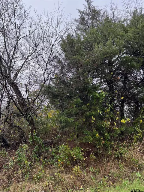 tbd County Road 1108, Celeste, TX 75423 photo 8