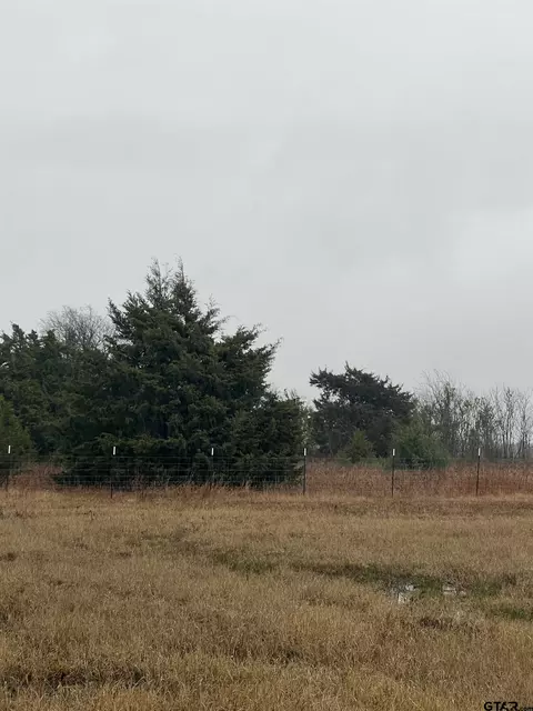 tbd County Road 1108, Celeste, TX 75423 photo 3