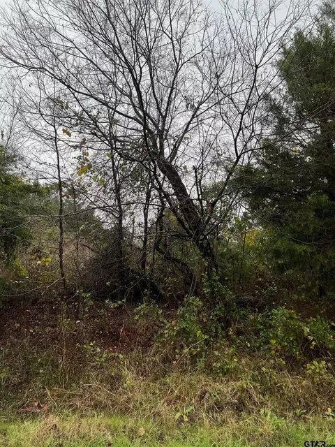 tbd County Road 1108, Celeste, TX 75423 photo 9