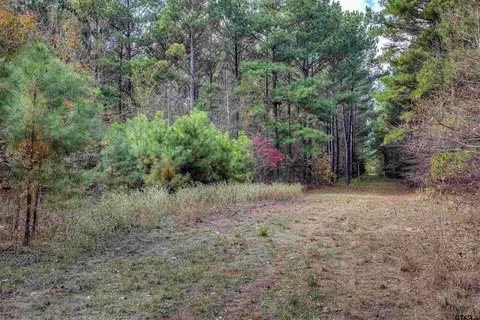 188 35 Ac Tbd County Road 1792, Yantis, TX 75497