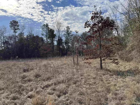 tbd Hwy 84 W Tr 5, Reklaw, TX 75784