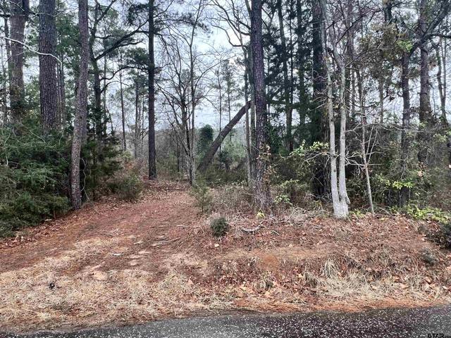 tbd Cr 2117, Rusk, TX 75785