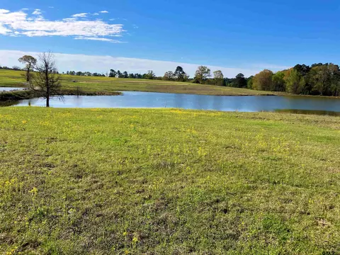 lot49 White Oak Creek Rnch, Big Sandy, TX 75755