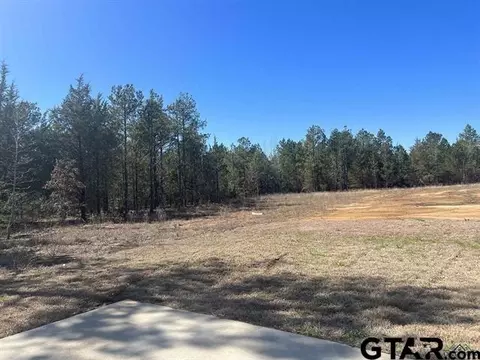 S Us Highway 79, Henderson, TX 75654