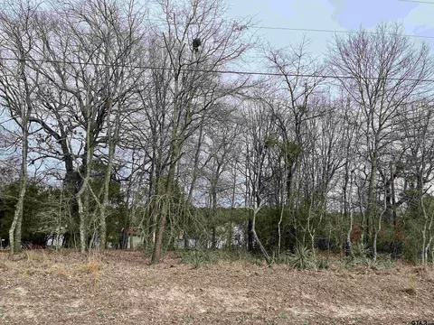 tbd Pagosa Ln, Holly Lake Ranch, TX 75765