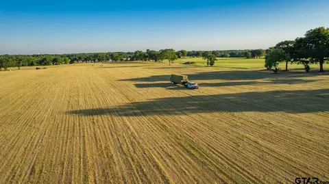 36 Ac Track 2 County Road 2301, Sulphur Springs, TX 75482