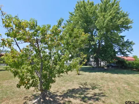 124 Kickapoo, Quitman, TX 75783 photo 32
