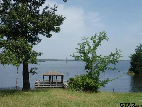 124 Kickapoo, Quitman, TX 75783 photo 45