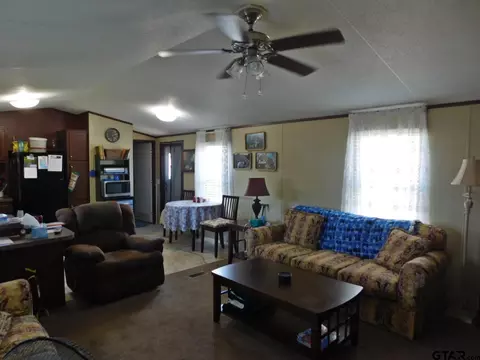 124 Kickapoo, Quitman, TX 75783 photo 5