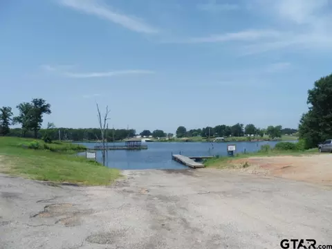 124 Kickapoo, Quitman, TX 75783 photo 46