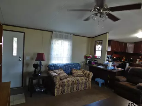 124 Kickapoo, Quitman, TX 75783 photo 6