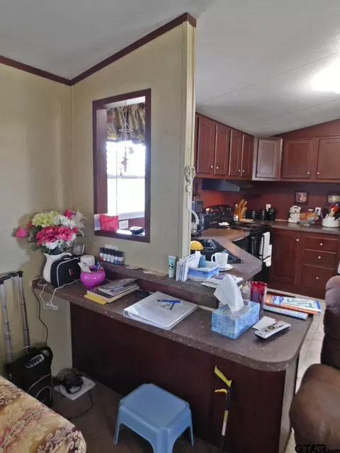 124 Kickapoo, Quitman, TX 75783 photo 14