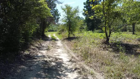 8032 Cr 384, Tyler, TX 75708 photo 8