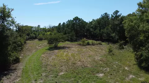 8032 Cr 384, Tyler, TX 75708 photo 1
