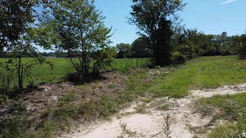 8032 Cr 384, Tyler, TX 75708 photo 10