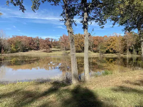 0000 Tba County Road 450, Lindale, TX 75771
