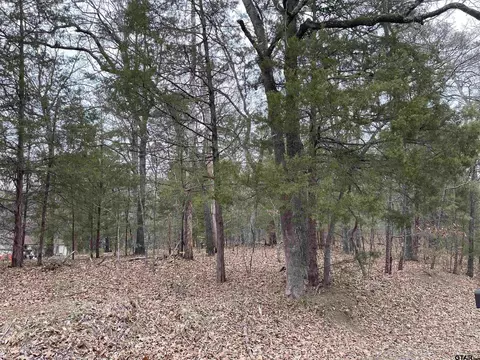 lot1 Whispering Pine Trl S, Mount Vernon, TX 75457